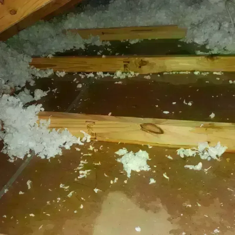 Attic Water Damage in Springfield, OH