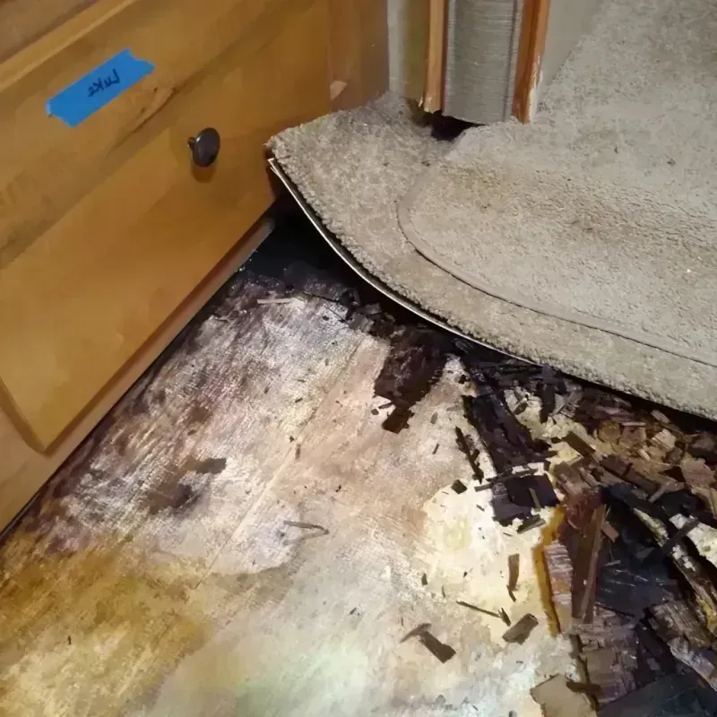 Wood Floor Water Damage in Springfield, OH